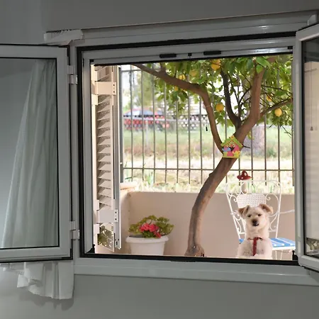 Fanis 公寓 拉卡伊